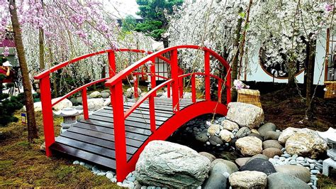 Mini Bridge Trees Bridge Cherry Blossom Landscape Sakura Japan