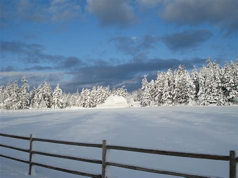 Free Photo Snow House Ranch Winter Calming Landscape Wilderness