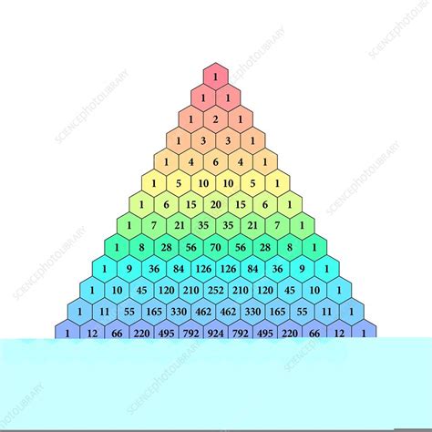 Pascals Triangle Stock Image C0137150 Science Photo Library