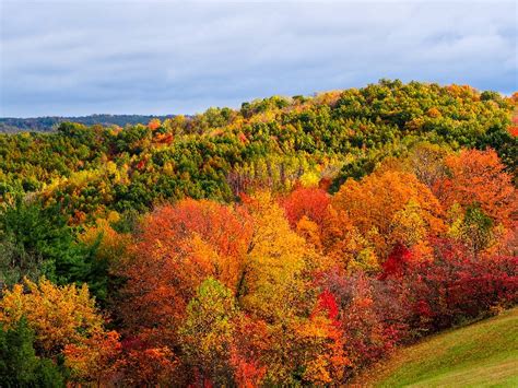 9 Best Fall Foliage Getaways In The Midwest