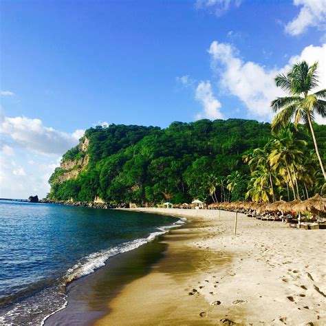 Anse Chastanet Beach And Reef Saint Lucia 2022 Alles Wat U Moet