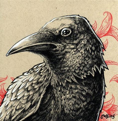 Image Result For Raven Posters Ink Pen Art Ink Drawing Ink Art