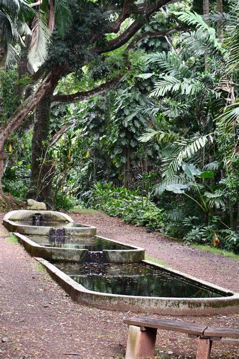 Three Pools At Allerton Garden National Tropical Botanical Garden In