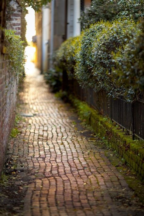 Wabi Sabi This Pathway Is A Beautiful Example Of Perfect Imperfection