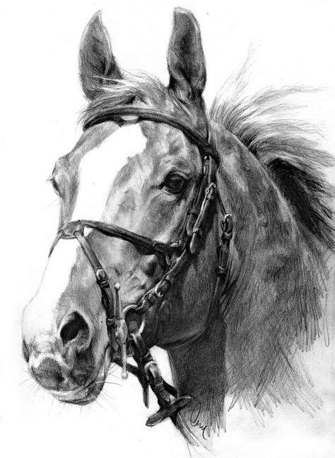Equine Fine Art Pencil Charcoal And Pastel Horse Drawings Dunway