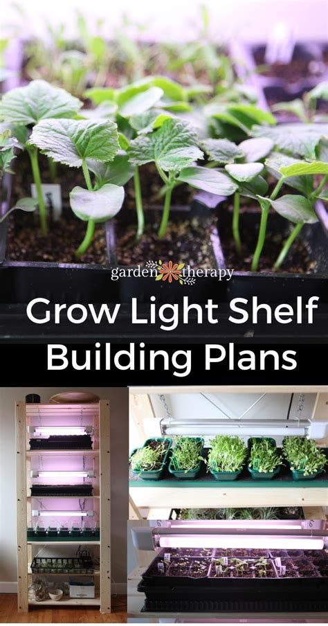 Grow Op Lights Home Based Business 2445 Organics Start A Business