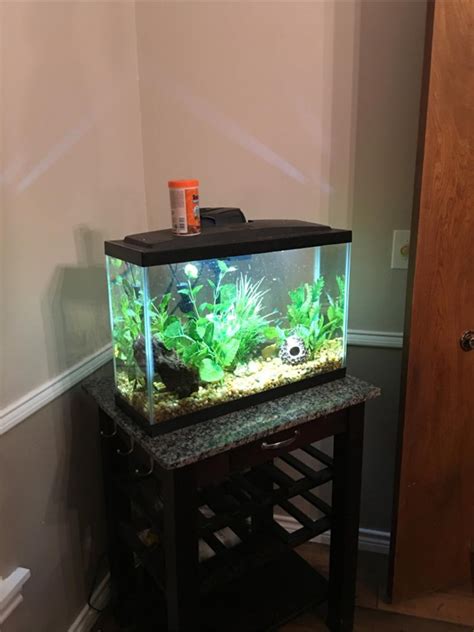 10 Gallon Fish Tank With Heater Thermometer And Filter Rocks And