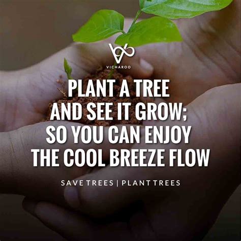 Plant A Tree And See It Grow So You Can Enjoy The Cool Breeze Flow