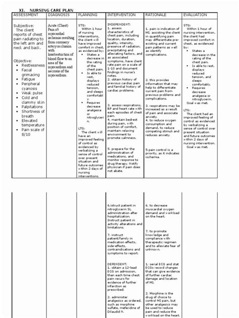 Nursing Care Plan For Impaired Skin Integrity Assessment Diagnosis