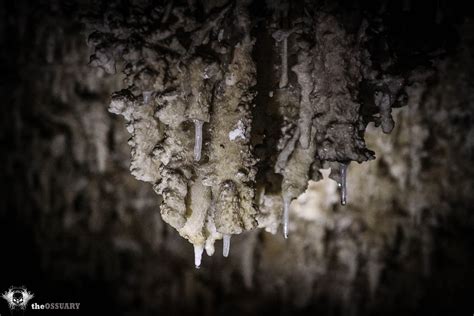 Kickapoo Cavern State Park Places 2 Explore