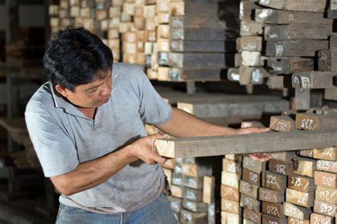 We Know Exactly Where Each Piece Of Wood Comes From — Kaltimber