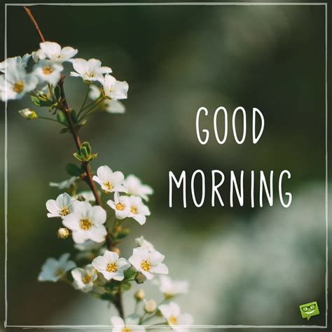 Weeds are flowers too, once you get to know them. Have a Beautiful Day | Good Morning Quotes on Pictures