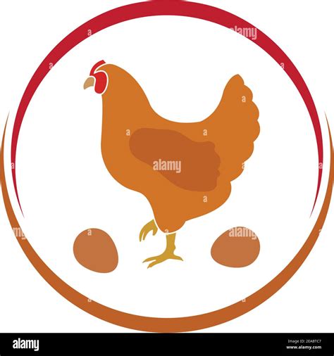 Chicken Vector Illustration Design Stock Vector Image And Art Alamy