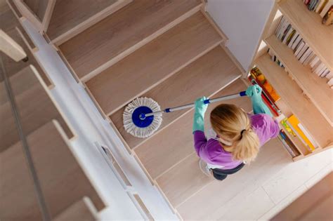 Handlung Temperatur Riskant entretien escalier bois Katze Ecke Reise