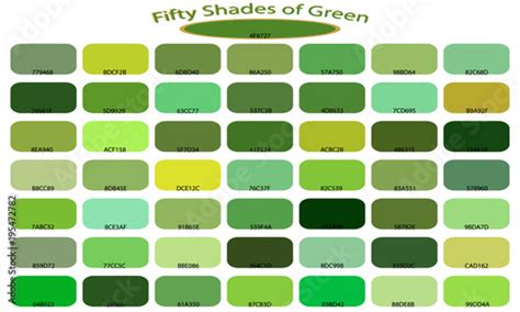 50 Shades Of Green Color Isolated On White Background Green Tones And