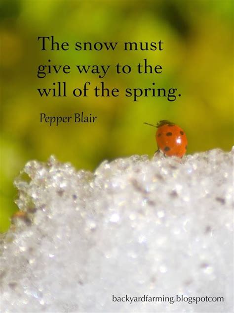 First Spring Day Snow Quotes Spring Quotes Spring Day
