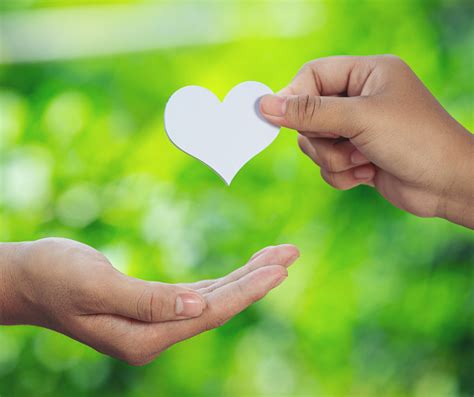 Download Save A Life During National Donate Life Month - America's ...