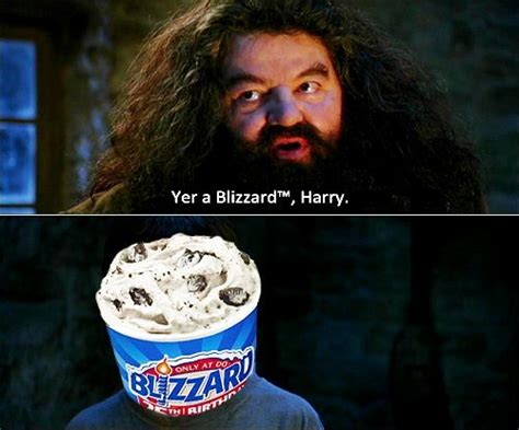Image You Re A Wizard Harry Know Your Meme