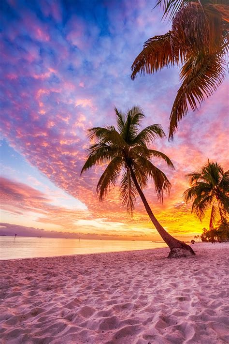 ⚓️ ⚓️ ⚓️ Sunset At Keywest Florida Beach Were Going There On The