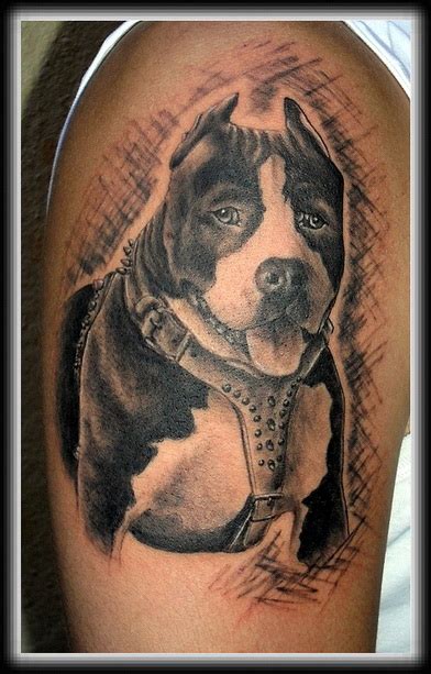 Pitbull Dog Tattoo Design Yo Tattoo