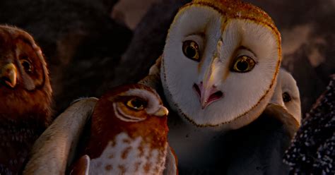 Legend Of The Guardians The Owls Of Gahoole Movie Review Hm