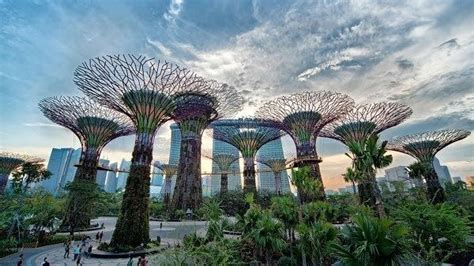 Things To Do In Singapore 2024