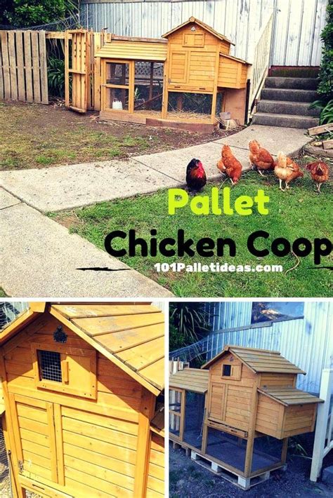 This is video i did last spring showing off my little pallet chicken coop. Wood Pallet Chicken Coop | Chicken coop pallets, Chicken ...