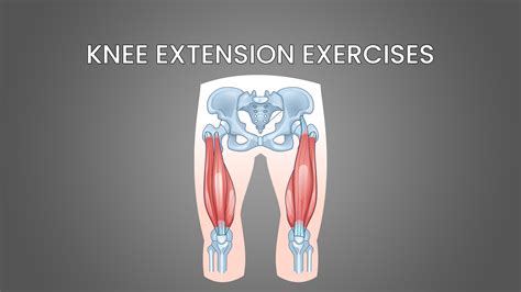 5 Best Knee Extension Exercises With Pictures Inspire Us