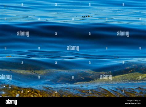A Close Up Image Of Some Ocean Waves Rippling Into Shore Creating A