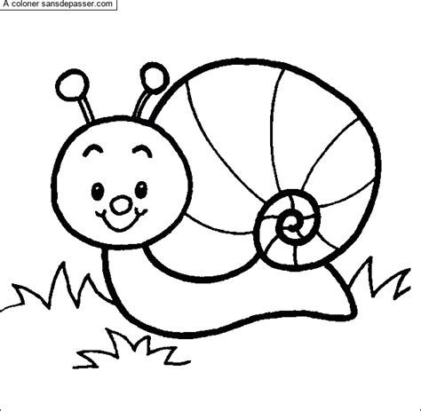 Coloriage Petit escargot  Sans Dépasser