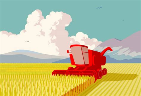 Harvesting Illustrations Royalty Free Vector Graphics And Clip Art Istock