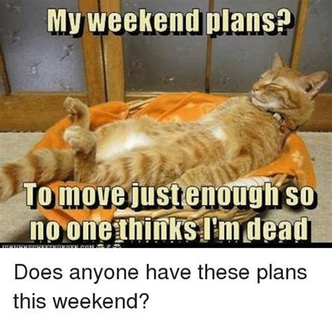 These Animals Have Some Great Plans For The Weekend Memes Cute