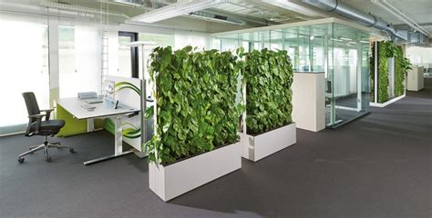 Biophilic Design A Marriage Of Functional Design Nature