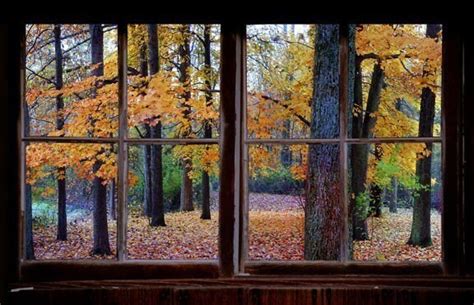 Wall Decal Autumn Window View Large 24x36