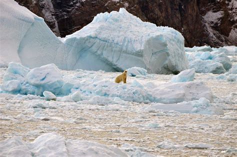 Glaciers On The Edge Nasa Sea Level Change Portal