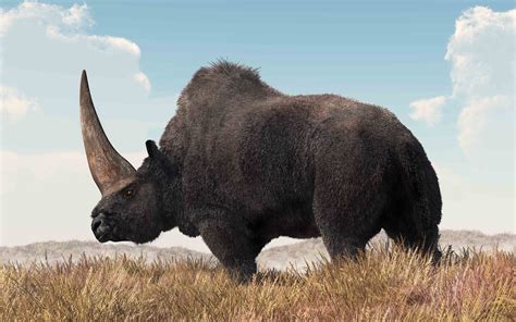 5 Most Gigantic Prehistoric Mammals To Ever Walk The Earthwarm Blooded