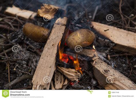 Photo Of Campfire Stock Image Image Of Activity Fireplace 106917449
