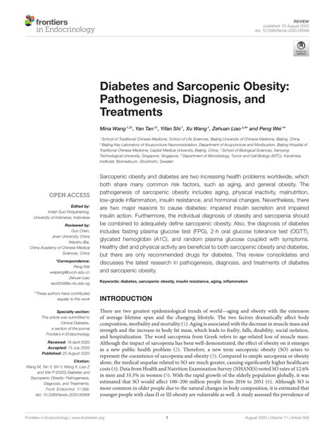 Pdf Diabetes And Sarcopenic Obesity Pathogenesis Diagnosis And