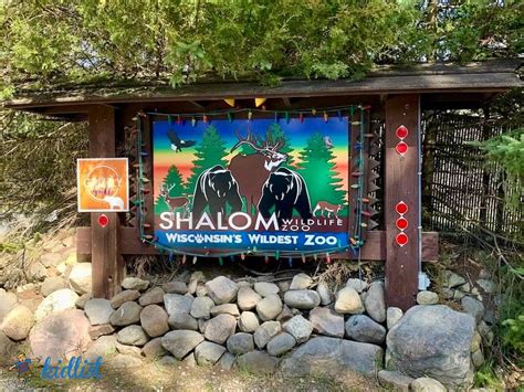 A Moms Review Of Shalom Wildlife Zoo In Wisconsin
