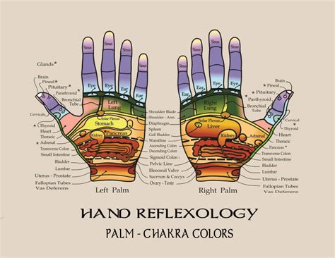 Reflexology Charts Foot Charts Hand Charts Chakra Foot Chart Chakra Hand Chart Foot And