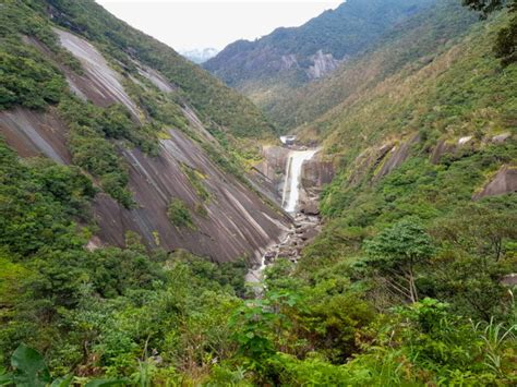 Explore Subtropical Yakushima Island In Three Days