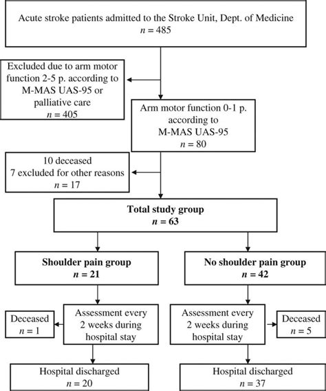Flow Chart Of Consecutive Recruited Stroke Patients During