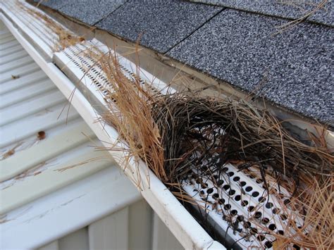 Are Gutter Guards Worth It Structure Tech Home Inspections