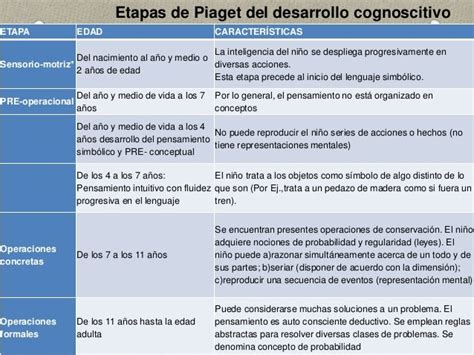 La Teoria Del Desarrollo Cognitivo De Piaget Y Sus Etapas Verdadero O Kulturaupice