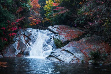 Waterfall In Golden Fall Forest Stock Photo Image Of Light Bright