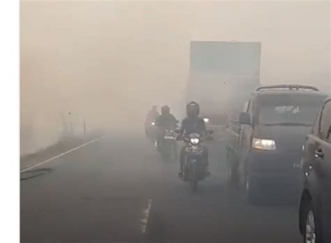 Kabut Asap Di Sumatera Dan Kalimantan Terdampak Ke Negara Tetangga