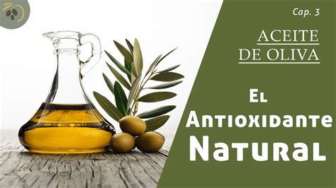 aceite de oliva el antioxidante natural youtube