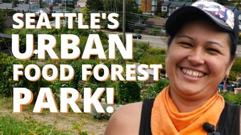 Seattles Urban Food Forest Park Youtube