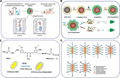 Frontiers Nanoparticle Drug Delivery Systems For Synergistic Delivery