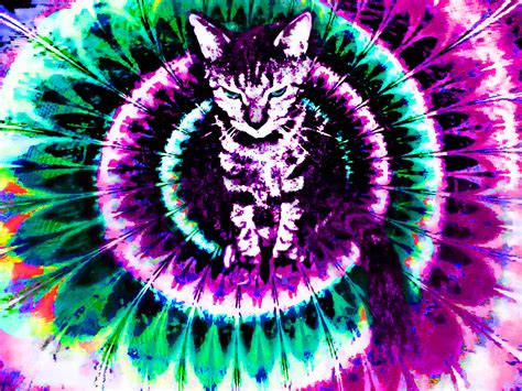 Check spelling or type a new query. 70+ Trippy Illuminati Wallpapers on WallpaperPlay